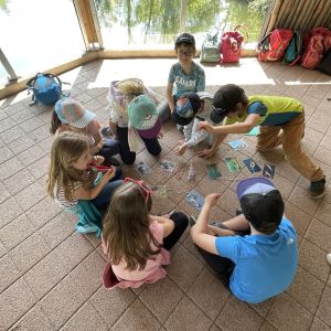 IMG_0031