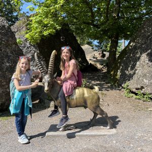 IMG_0351