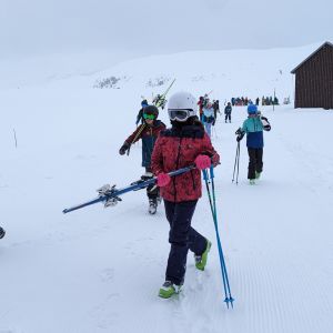 PXL_20240312_080752311