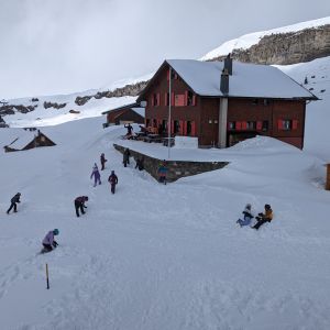 PXL_20240312_121946503