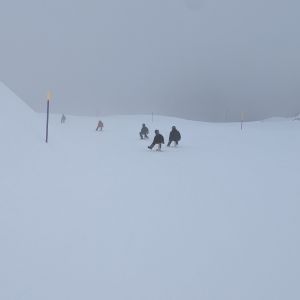 PXL_20240312_130941982