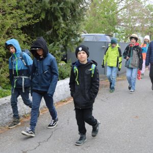 IMG_0388