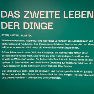 Forum für Schweizer Geschichte (2)