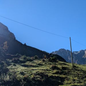 PXL_20250918_085958243