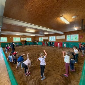 Schwingen (12)